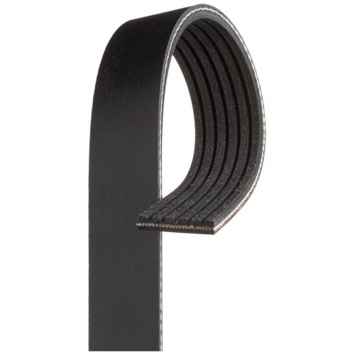 Cinghia poly gates - v,
