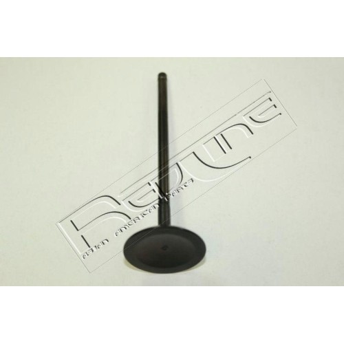 Valvola aspirazione red line - valvola, red-line